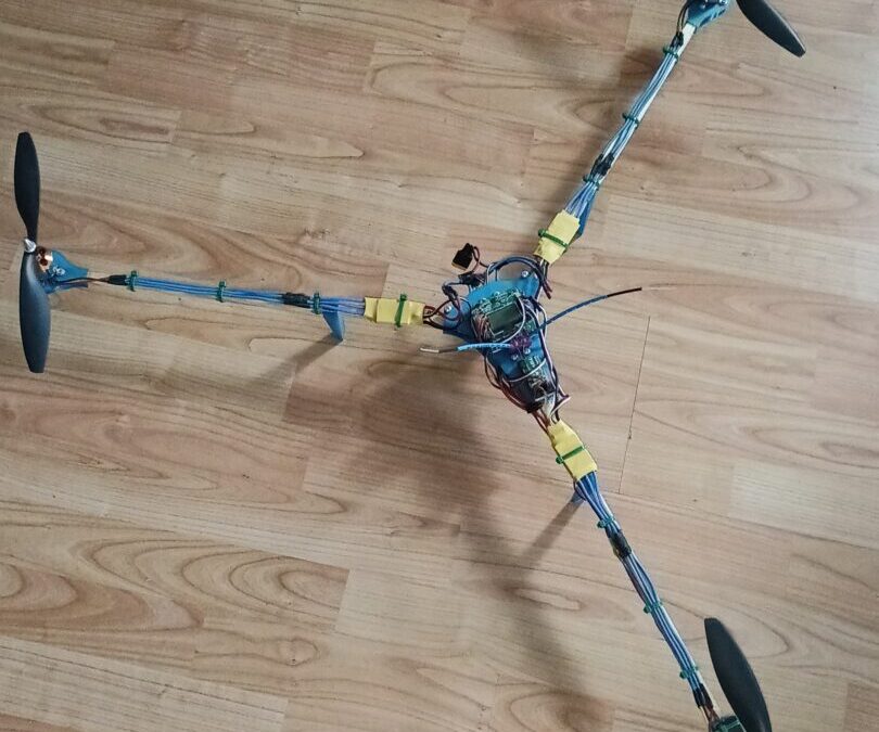 Završni rad: DIY Dron